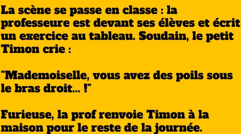 blague timon