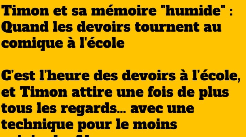 blague timon