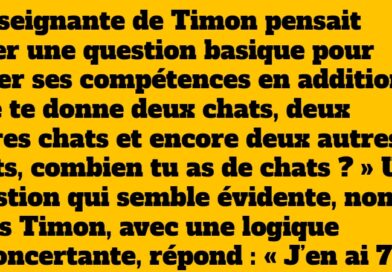 Timon et les chats : Une réponse inattendue qui fait rire toute la classe