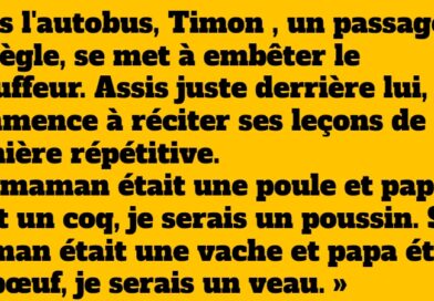 blague timon et le chauffeur du bus