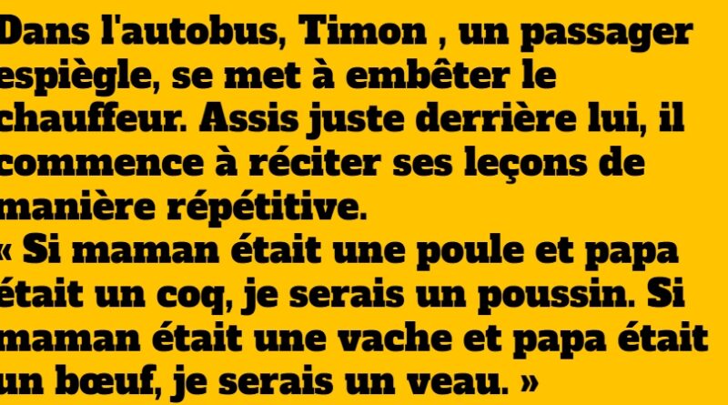 blague timon et le chauffeur du bus