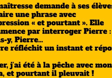 Blague de Toto : Une réponse hilarante qui va vous faire tomber à la renverse !