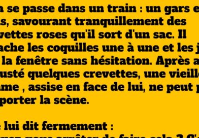 blague train