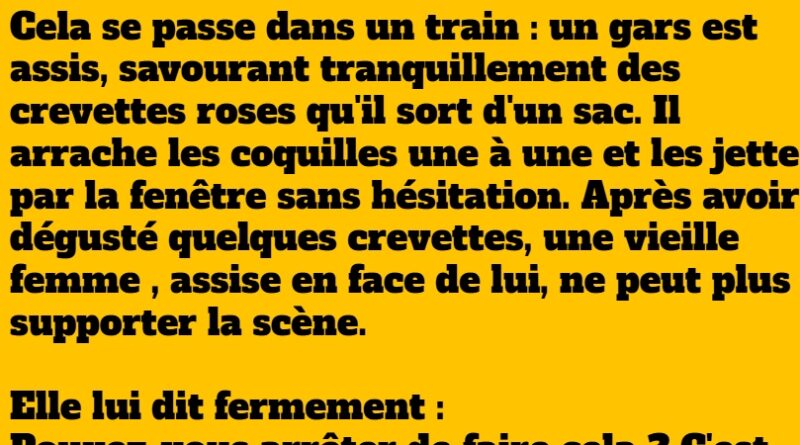 blague train