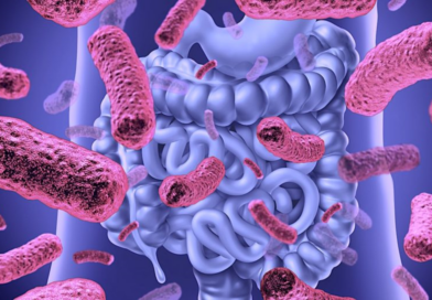 microbiote-intestinal