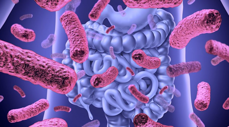 microbiote-intestinal