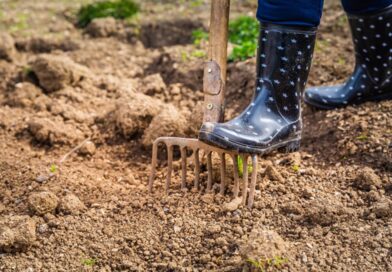 4 erreurs fatales à éviter dans votre jardin avant le printemps (Ne gâchez pas la saison !)