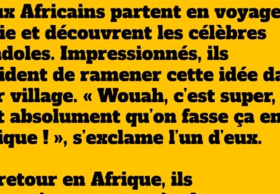 blague deux africains