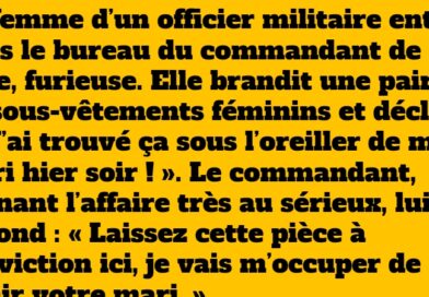 Le commandant punit un officier : une histoire drôle et inattendue